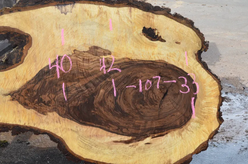 Bastogne Walnut Slab 042720-25