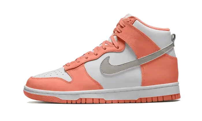 Nike Dunk High Salmon Grey